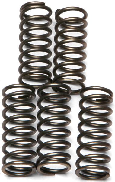 EBC - CLUTCH SPRINGS CSK121 - Image 1