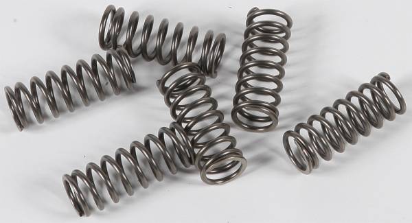 EBC - CLUTCH SPRINGS CSK122 - Image 1