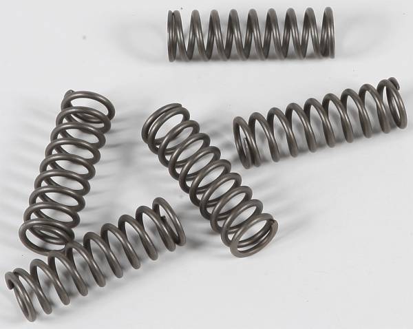 EBC - CLUTCH SPRINGS CSK124 - Image 1