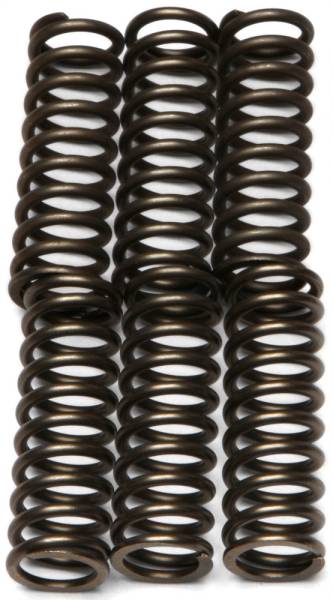 EBC - CLUTCH SPRINGS CSK125 - Image 1