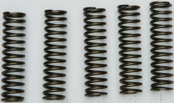 EBC - CLUTCH SPRINGS CSK128 - Image 1