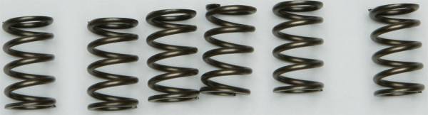 EBC - CLUTCH SPRINGS CSK130 - Image 1