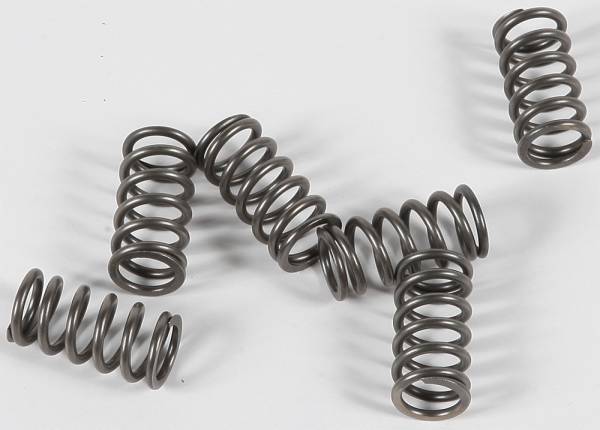 EBC - CLUTCH SPRINGS CSK139 - Image 1