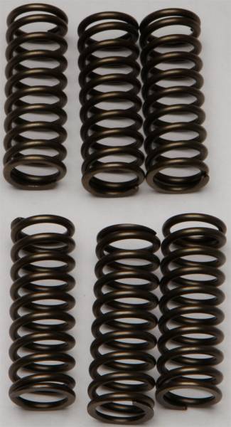 EBC - CLUTCH SPRINGS CSK145 - Image 1