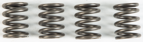 EBC - CLUTCH SPRINGS CSK147 - Image 1