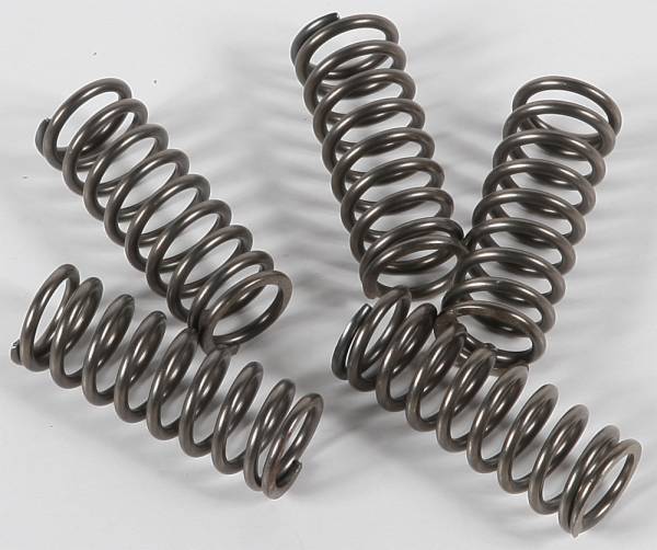 EBC - CLUTCH SPRINGS CSK156 - Image 1