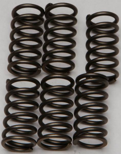 EBC - CLUTCH SPRINGS CSK159 - Image 1