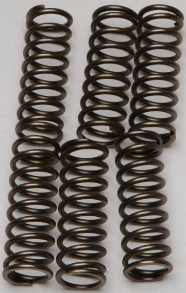 EBC - CLUTCH SPRINGS CSK160 - Image 1