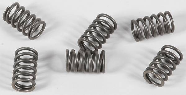 EBC - CLUTCH SPRINGS CSK161 - Image 1