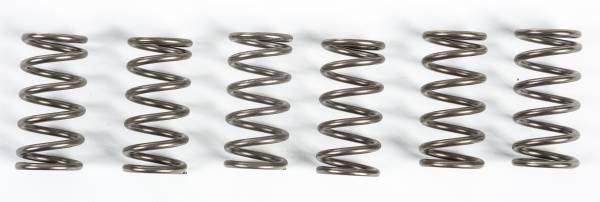 EBC - CLUTCH SPRINGS CSK165 - Image 1