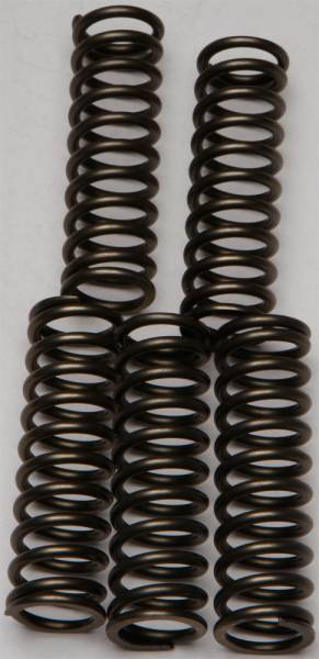 EBC - CLUTCH SPRINGS CSK169 - Image 1