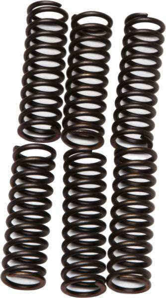 EBC - CLUTCH SPRINGS CSK17 - Image 1