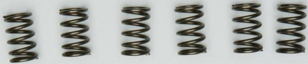 EBC - CLUTCH SPRINGS CSK171 - Image 1