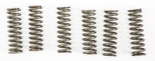 EBC - CLUTCH SPRINGS CSK187 - Image 1