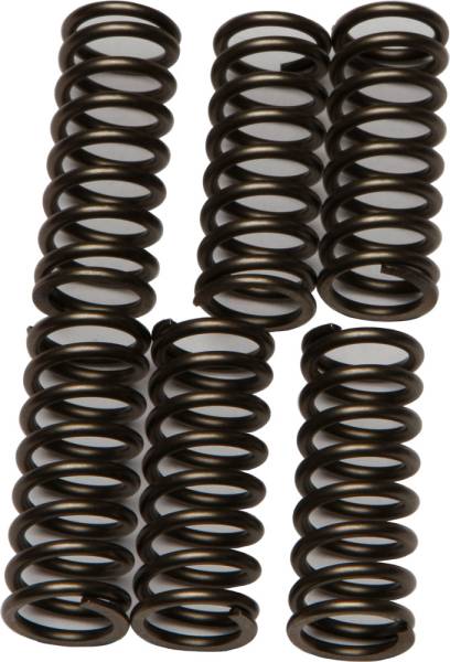 EBC - CLUTCH SPRINGS CSK196 - Image 1