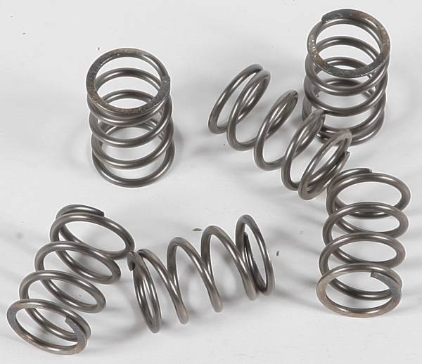 EBC - CLUTCH SPRINGS CSK197 - Image 1