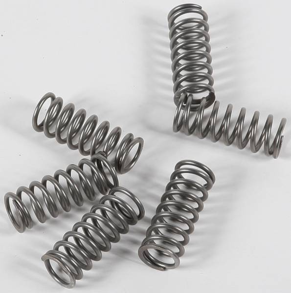 EBC - CLUTCH SPRINGS CSK198 - Image 1