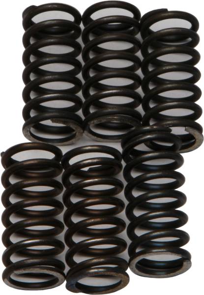 EBC - CLUTCH SPRINGS CSK200 - Image 1