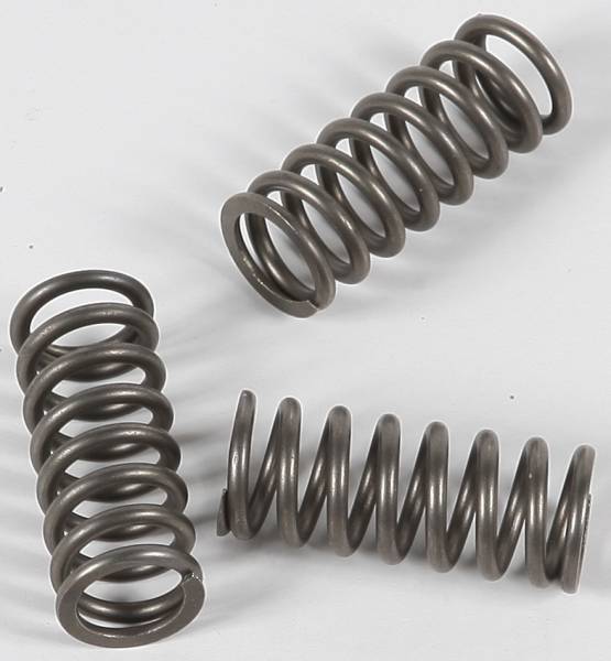 EBC - CLUTCH SPRINGS CSK202 - Image 1