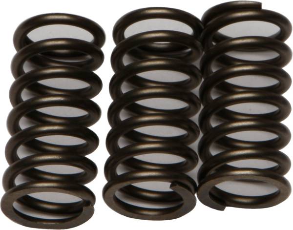 EBC - CLUTCH SPRINGS CSK203 - Image 1