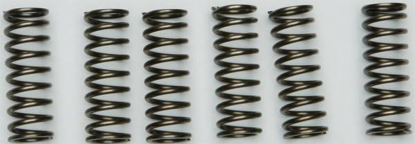 EBC - CLUTCH SPRINGS CSK205 - Image 1