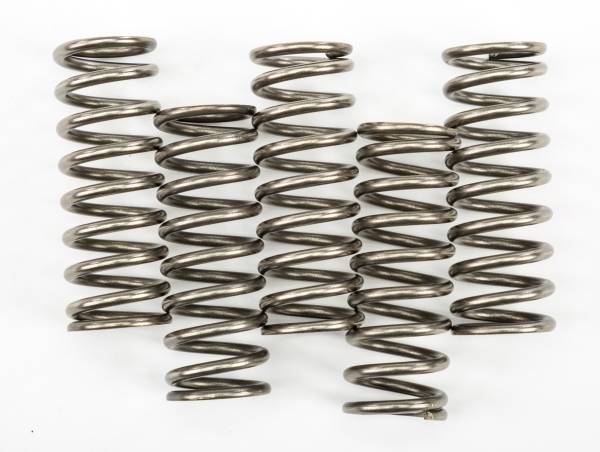 EBC - CLUTCH SPRINGS CSK247 - Image 1