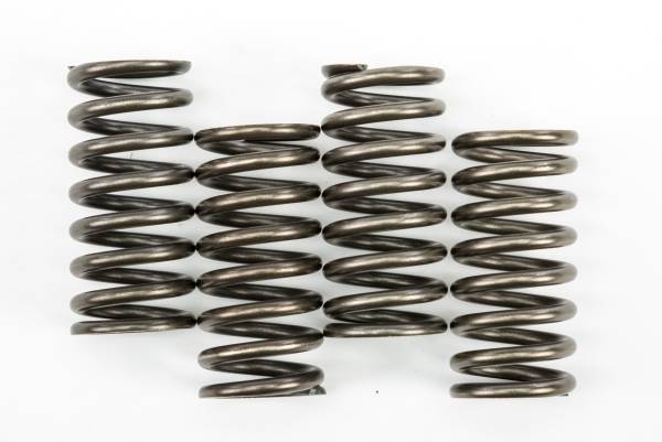 EBC - CLUTCH SPRINGS CSK248 - Image 1