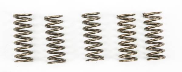 EBC - CLUTCH SPRINGS CSK249 - Image 1