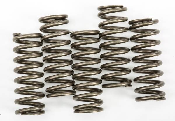 EBC - CLUTCH SPRINGS CSK254 - Image 1