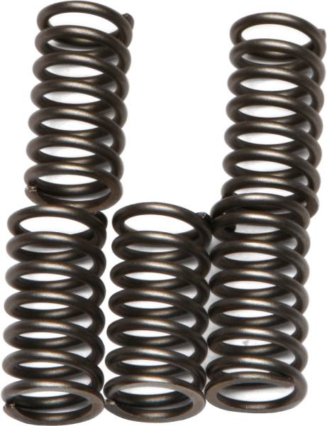 EBC - CLUTCH SPRINGS CSK56 - Image 1