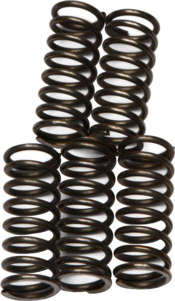 EBC - CLUTCH SPRINGS CSK66 - Image 1