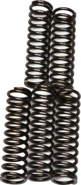 EBC - CLUTCH SPRINGS CSK67 - Image 1