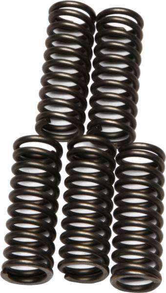 EBC - CLUTCH SPRINGS CSK73 - Image 1