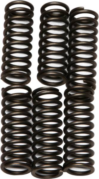 EBC - CLUTCH SPRINGS CSK75 - Image 1