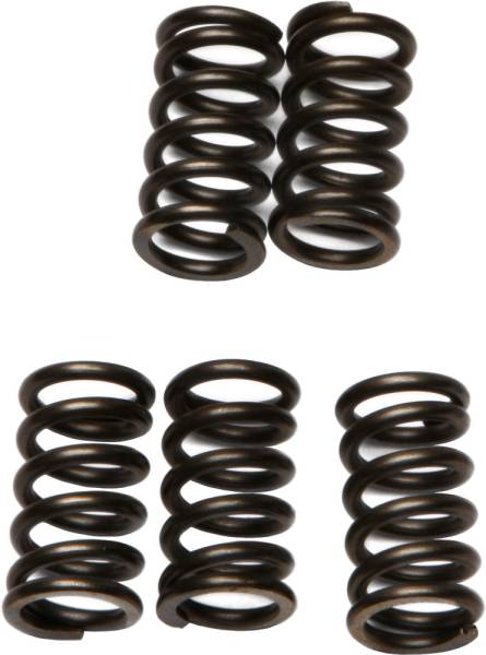 EBC - CLUTCH SPRINGS CSK78 - Image 1