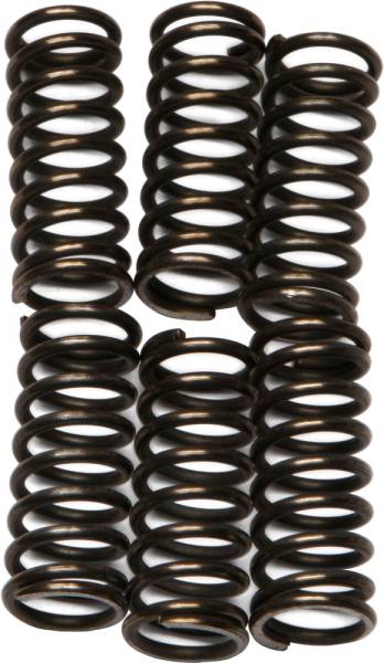 EBC - CLUTCH SPRINGS CSK96 - Image 1