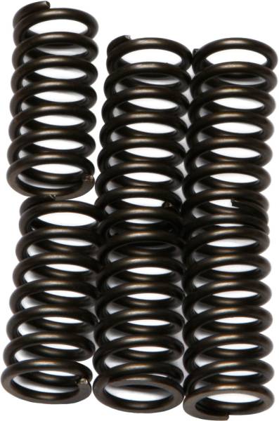 EBC - CLUTCH SPRINGS CSK99 - Image 1