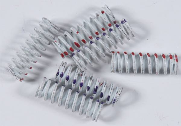 KG - HIGH PERFORMANCE SPRING SET - Image 1