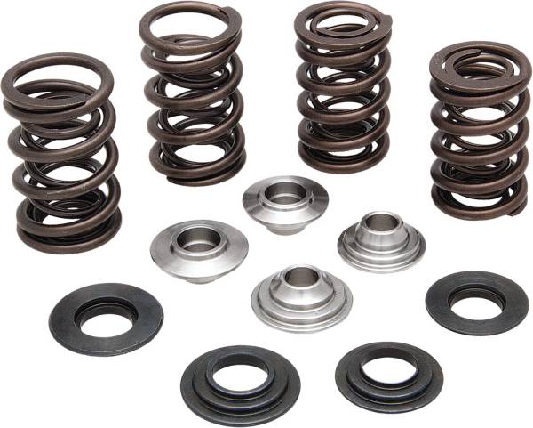 KPMI - RACING VALVE SPRING KIT .550 LIFT - Image 1