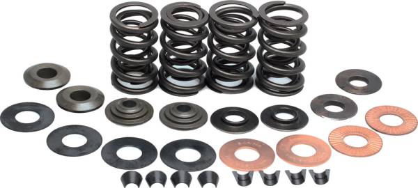 KPMI - VALVE SPRING KIT .600 LIFT - Image 1