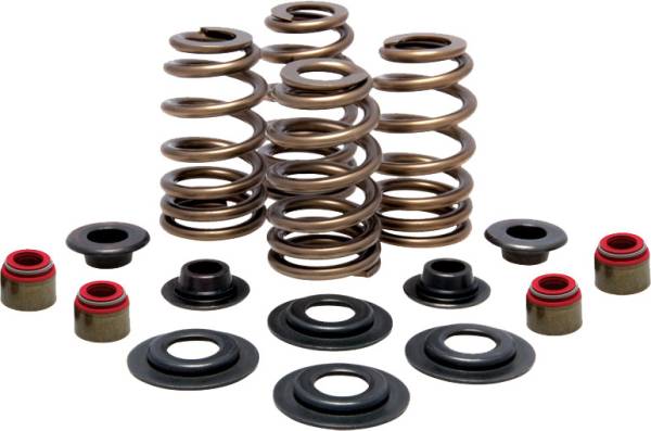 KPMI - RACING VALVE SPRING KIT 0 LIFT HD TWIN CAM - Image 1