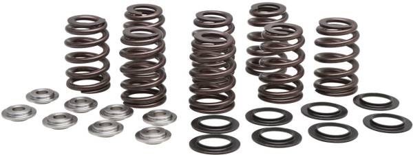 KPMI - VALVE SPRING KIT BEEHIVE M8 TITANIUM - Image 1