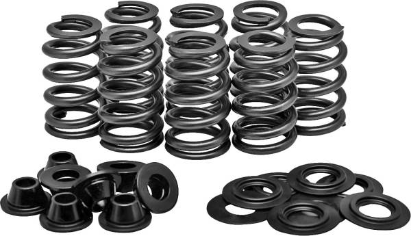 KPMI - RACING VALVE SPRING KIT - Image 1