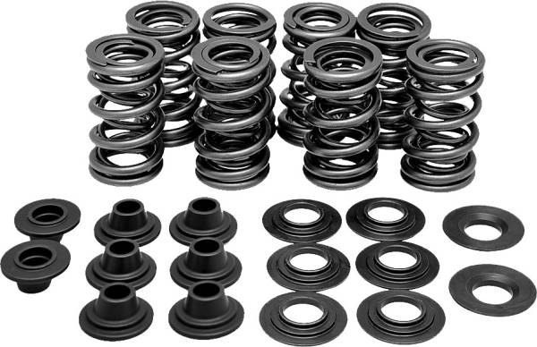 KPMI - RACING VALVE SPRING KIT - Image 1