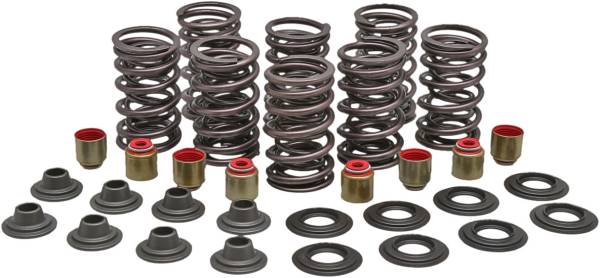 KPMI - RACING VALVE SPRING KIT - Image 1