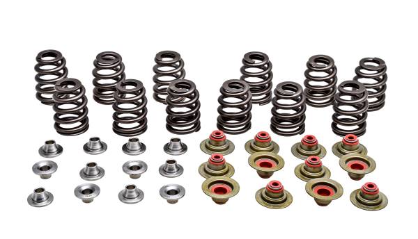 KPMI - RACING VALVE SPRING KIT BEEHIVE - Image 1