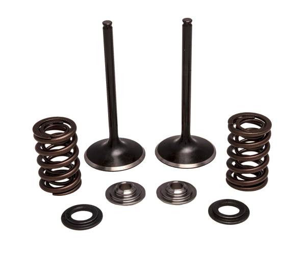 KPMI - INTAKE VALVE/SPRING KIT STAINLESS STEEL - Image 1