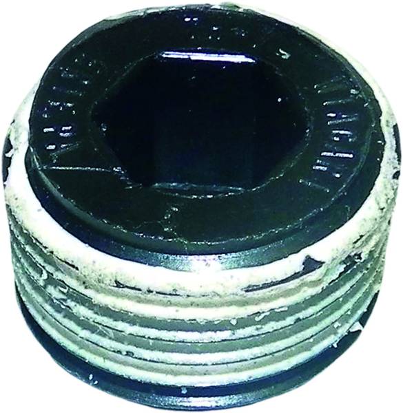 WSM - WSM PUMP PLUG S/D - Image 1