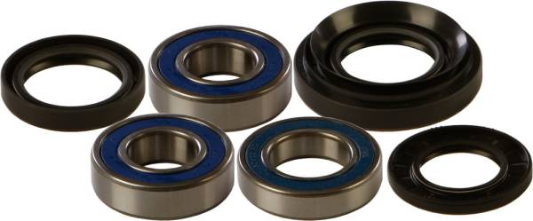 ALL BALLS - WHEEL BEARING & SEAL KIT - Image 1