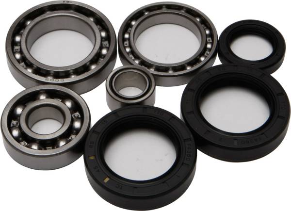 ALL BALLS - REAR DIFFERENTIAL BEARING AND SEAL KIT - Image 1